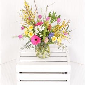 fwthumbSpring Collection.jpg